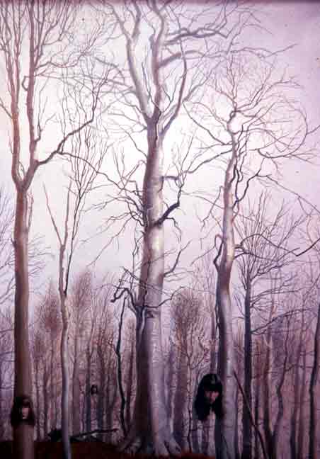 Beech_Meditation