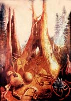 Redwood_August
